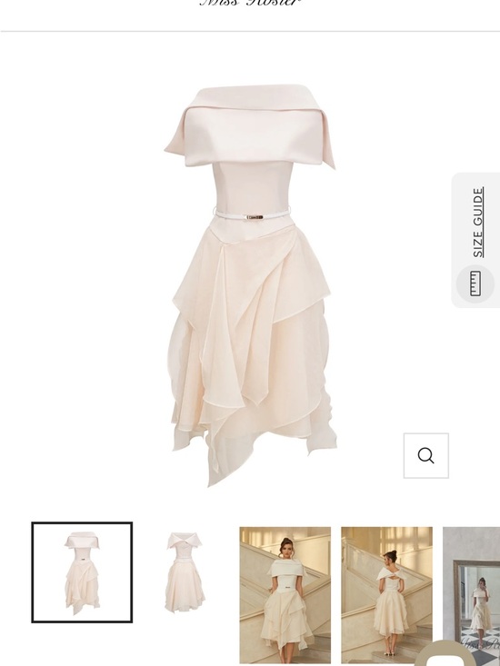 Miss Rosier Dresses & Skirts - Miss Rosier Dress